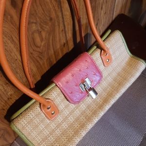 Cute Multi-colored Summer Purse
